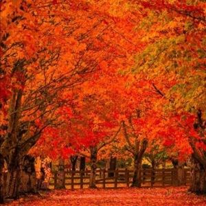 Meet your Posher, Karekaren